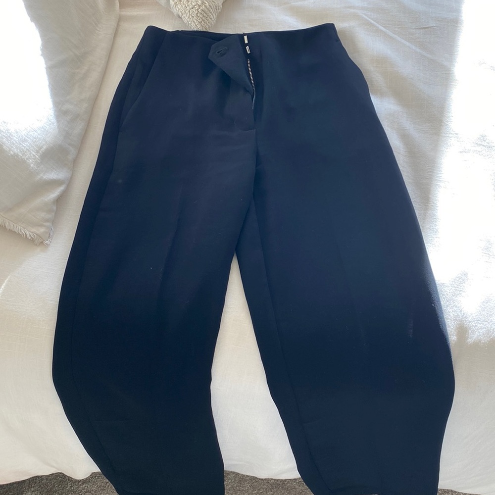 Aritzia work pants